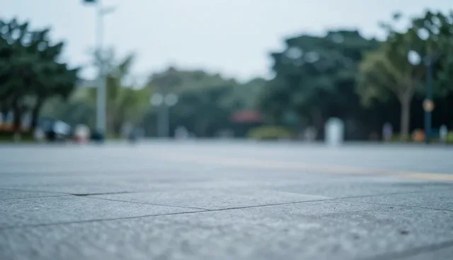 康复指导服务效率提升的关键路径与未来展望